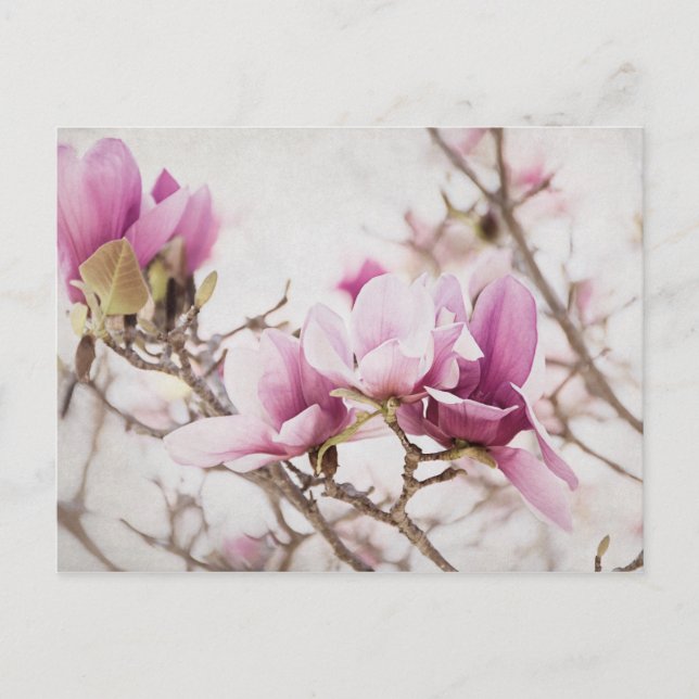 Postal La primavera está en el aire (Anverso)