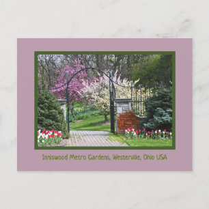 POSTAL "LA PRIMAVERA EXPLOTA EN INNISWOOD"