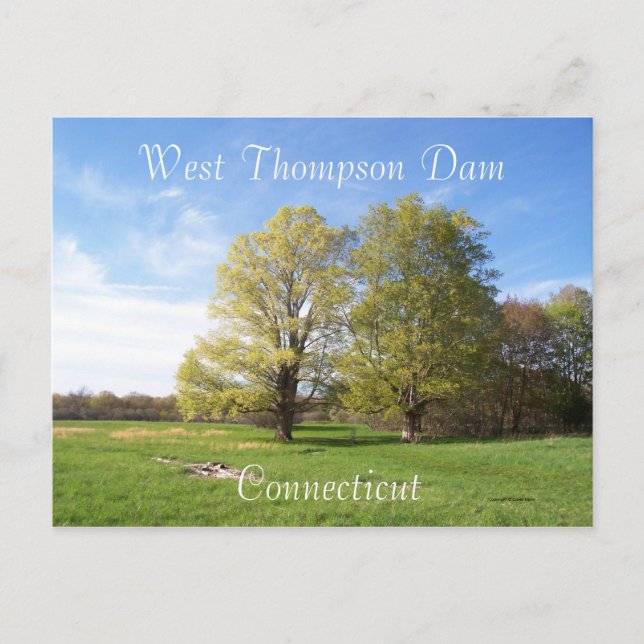 Postal La primavera ha pasado (Anverso)