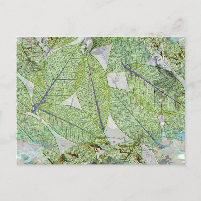 Postal La primavera ha pasado (Anverso)