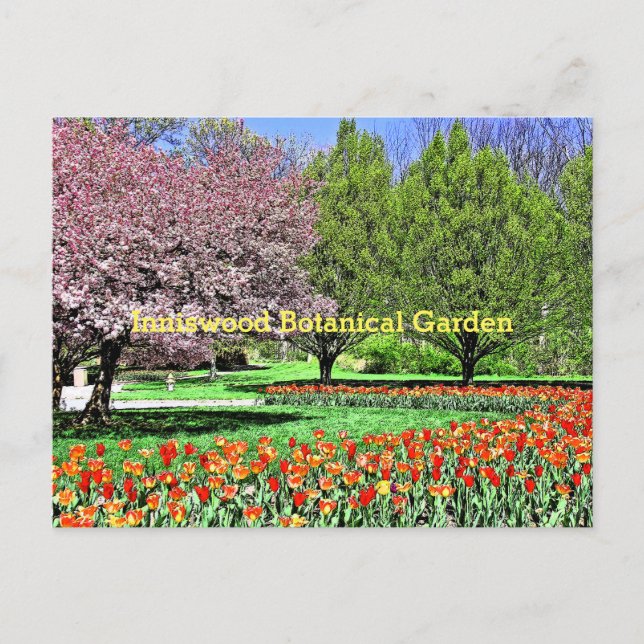 POSTAL "LA PRIMAVERA LLEGA AL JARDÍN BOTÁNICO DE INNISWOO (Anverso)