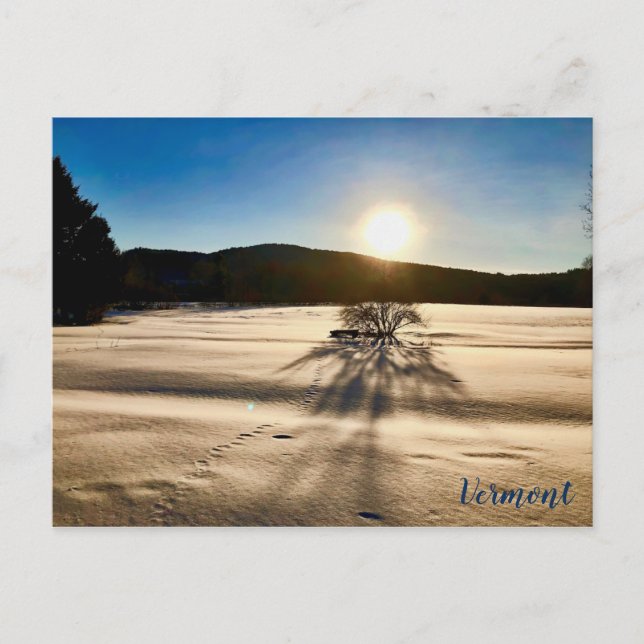 Postal La primavera parece estar muy lejos (Anverso)