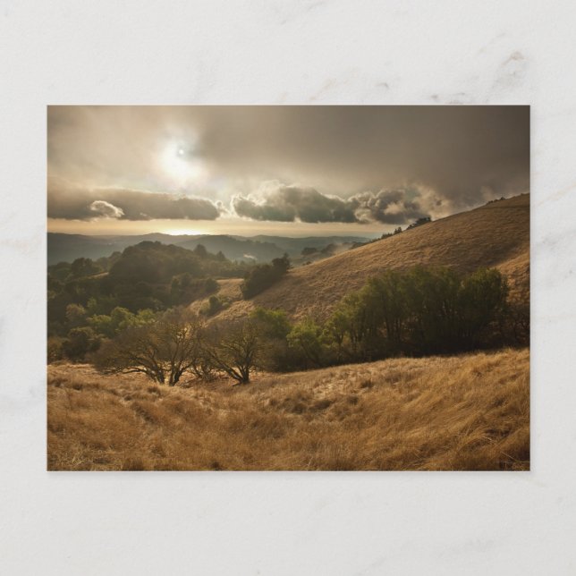 Postal La primera lluvia de la temporada (Anverso)