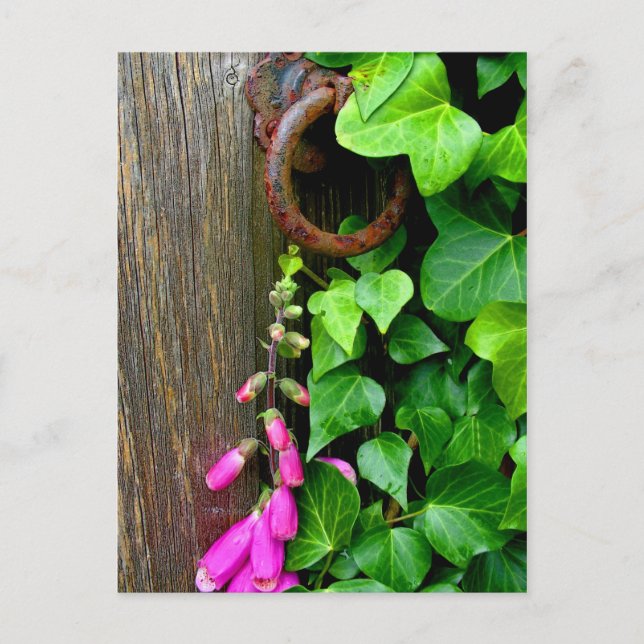 POSTAL LA PUERTA SECRETA (Anverso)