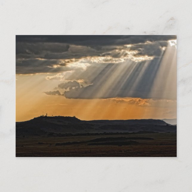 Postal La puesta de sol en el Masai Mara. (Anverso)