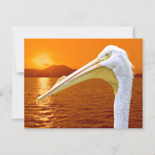Postal La puesta de sol estadounidense en Pelican White e