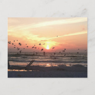 Postal La puesta de sol y las gaviotas en la playa