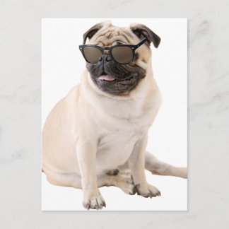 Postal La Pug sombría (color)