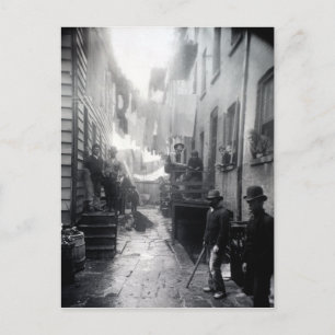 Postal La raíz de Jacob Riis Bandit