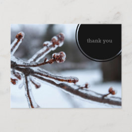 Postal La rama de árbol helada le agradece