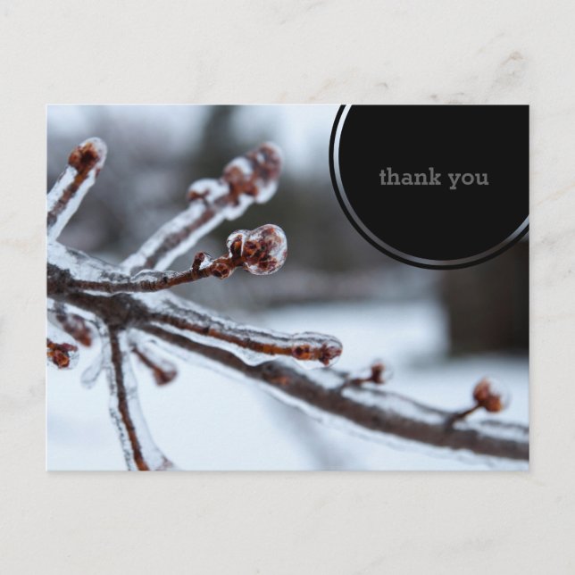 Postal La rama de árbol helada le agradece (Anverso)