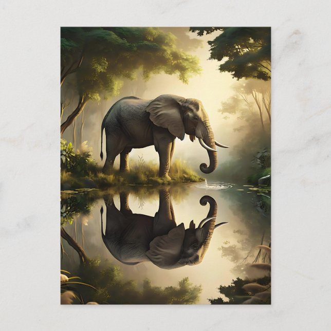 Postal La reflexión de un elefante (Anverso)