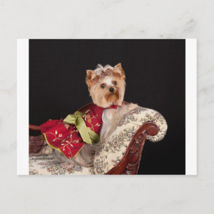 Postal La Reina Yorkie