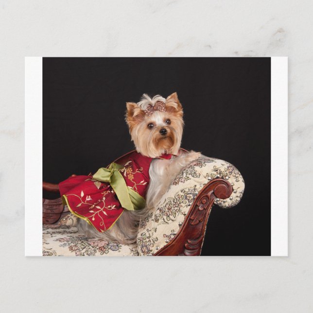 Postal La Reina Yorkie (Anverso)