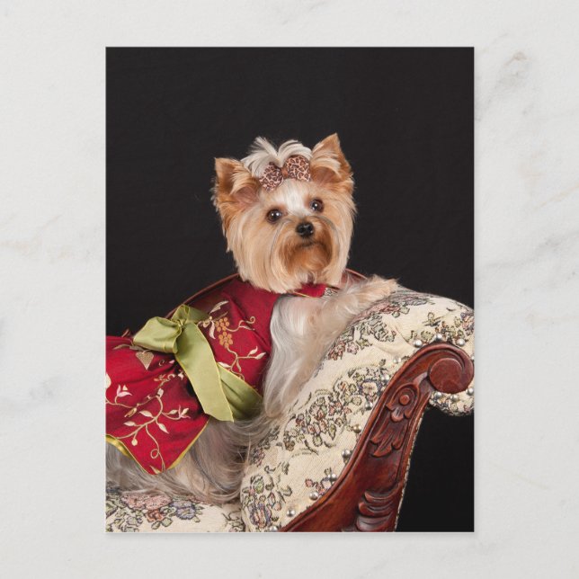 Postal La Reina Yorkie (Anverso)