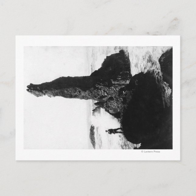 Postal La Roca de la Duquesa en Newport, Oregón (Anverso)