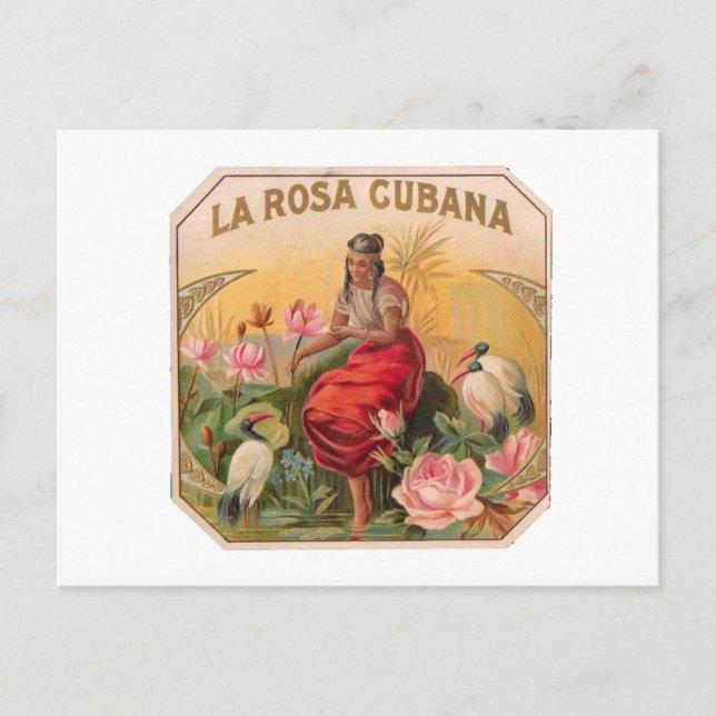 Postal La Rosa Cubana Diseño (Anverso)