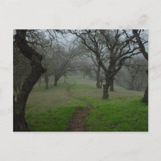 Postal La ruta (Anverso)