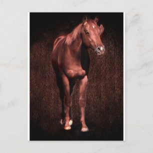 Postal La secreción del caballo