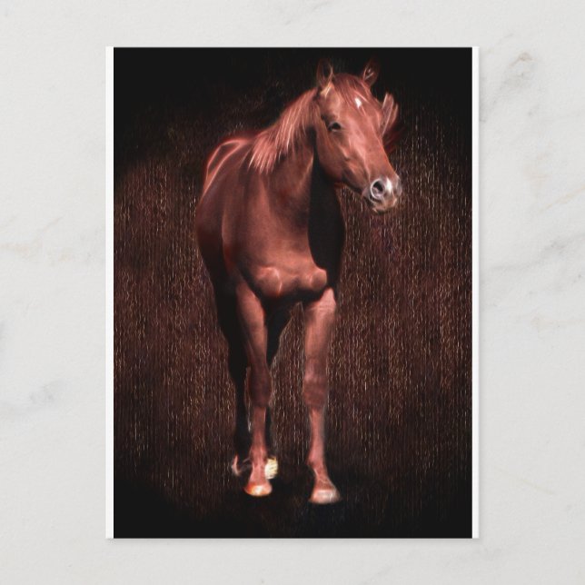 Postal La secreción del caballo (Anverso)