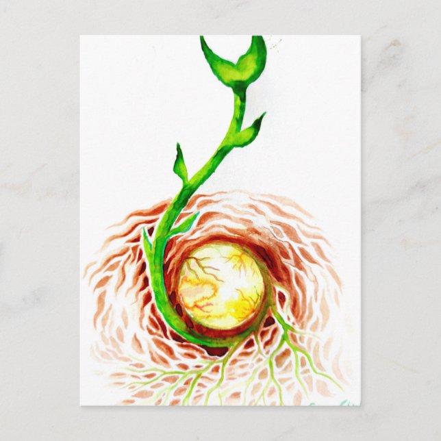 Postal La semilla de la impresión de lienzo de poster de  (Anverso)