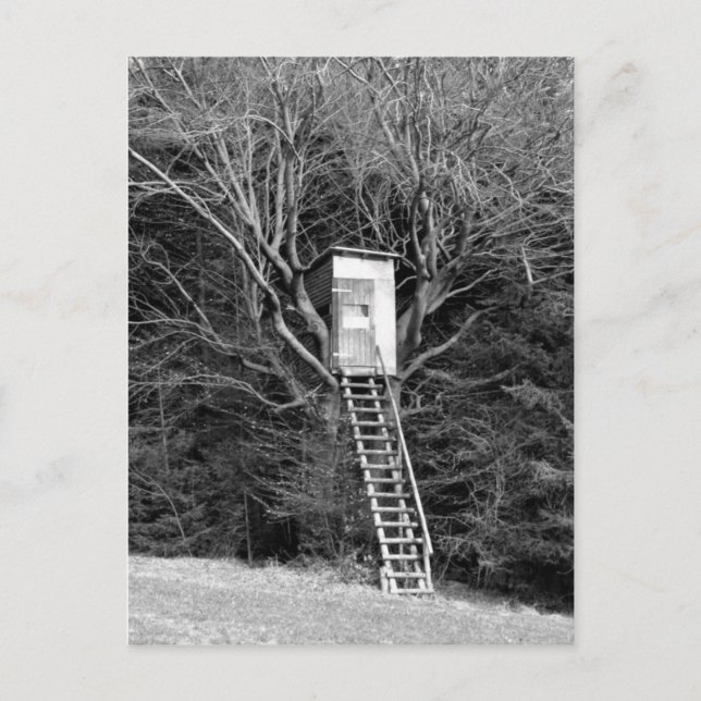 Postal La silla del cazador (Anverso)