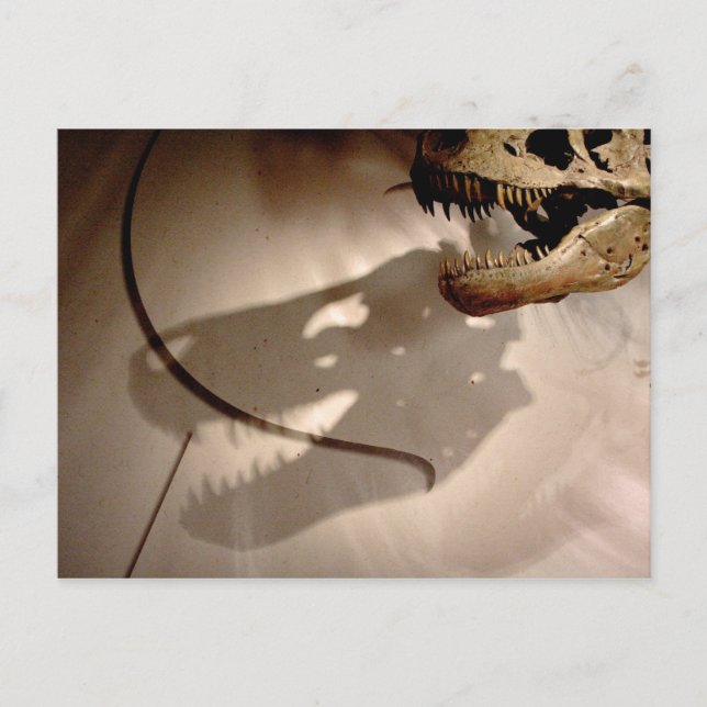 Postal La sombra de Sue (Anverso)