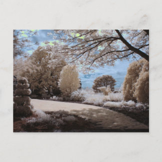 Postal La Sombra Del Jardín
