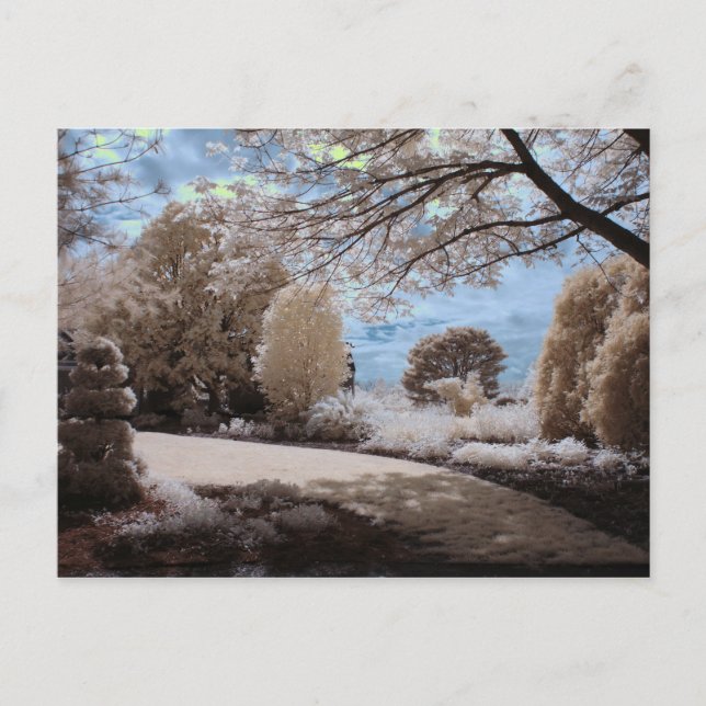 Postal La Sombra Del Jardín (Anverso)