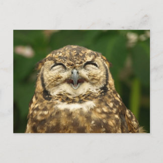 Postal ¡¡la sonrisa de owl!! :)