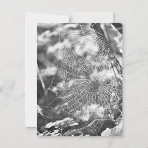Postal La telaraña en el campo largo