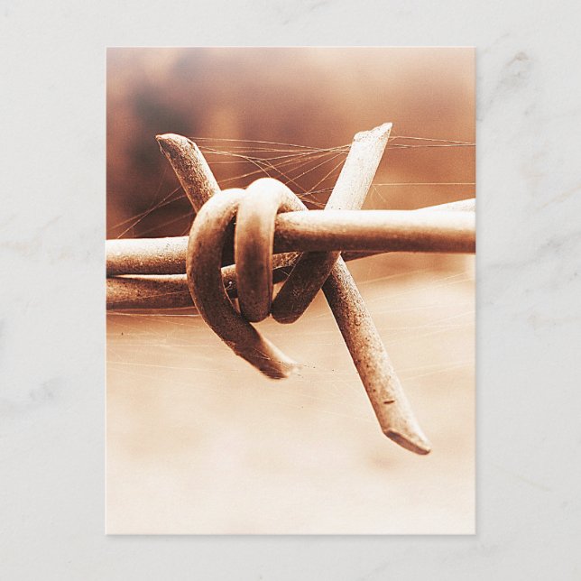 Postal La telaraña y la telaraña en Sepia (Anverso)