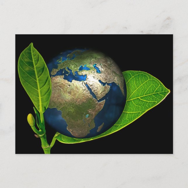 POSTAL LA TIERRA NACIÓ (Anverso)