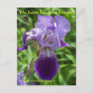 POSTAL LA TIERRA SE RÍE EN LAS FLORES - IRIS