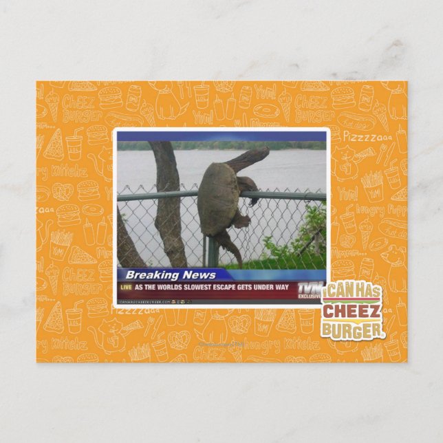 Postal La tortuga excapante (Anverso)