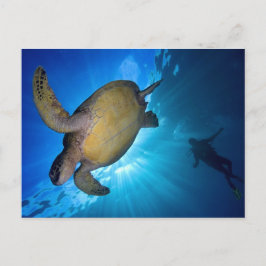 Postal La tortuga marina y el buceo