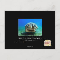 La tortuga no está enfadada