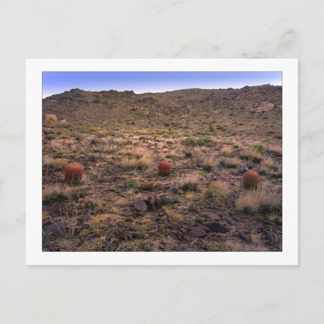 Postal " La Trifecta De La Mañana " (Anverso)