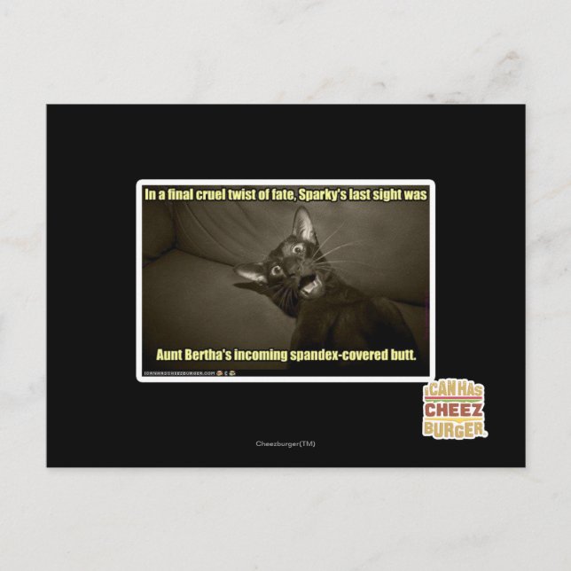 Postal La última visión de Sparky (Anverso)