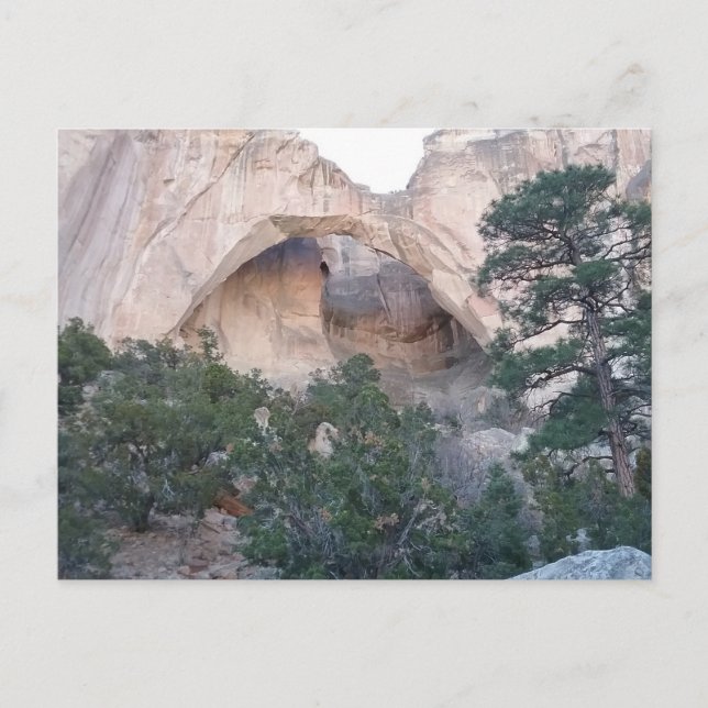 Postal La Ventana Arch en La Malpais Nat'l Park Postcard (Anverso)