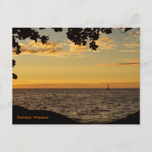 Postal La ventana de la naturaleza