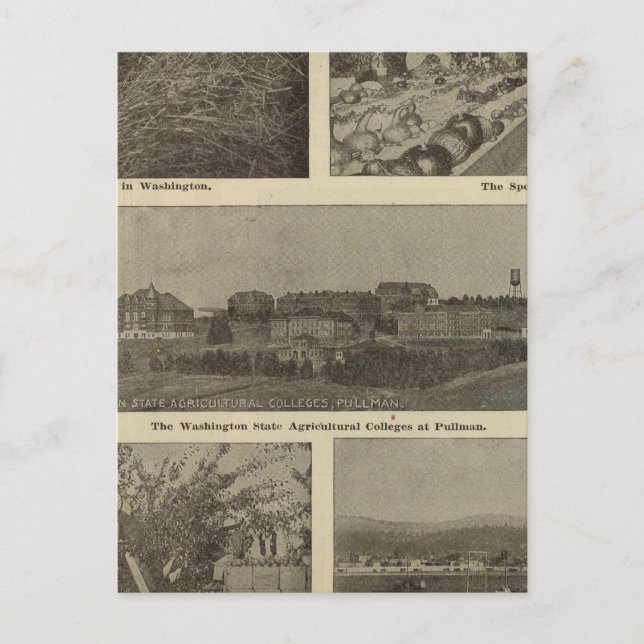 Postal La versatilidad de Washington (Anverso)