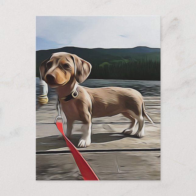 Postal La Vida De Dachshund Es Mejor Con Un Cumpleaños De (Anverso)