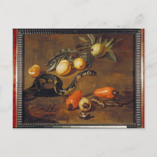 Postal La vida de las frutas de Surinam y los reptiles
