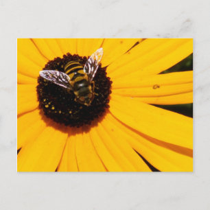 Postal La vida de una abeja
