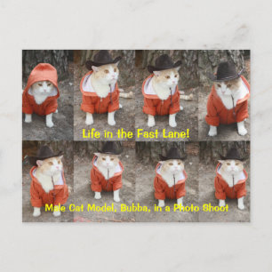 Postal ¡La vida en carril rápido!