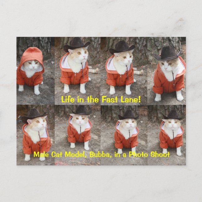 Postal ¡La vida en carril rápido! (Anverso)