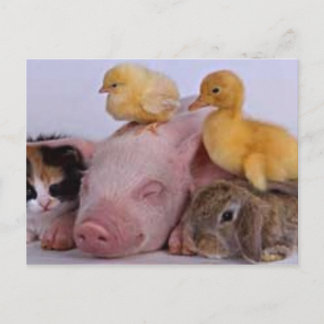 POSTAL LA VIDA ES BUENA