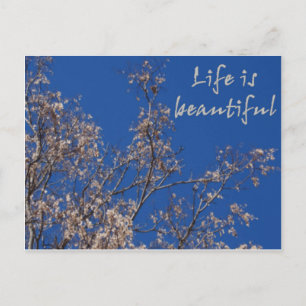 Postal La vida es hermosa