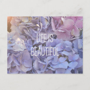 Postal La Vida Es Hermosa Hidrangea Postcard
